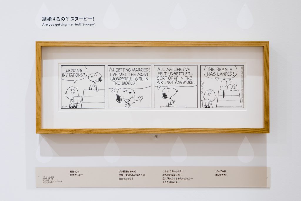 実は6人きょうだい！？ あなたはスヌーピーの秘密いくつ知ってますか？テレビ東京・ＢＳテレ東の読んで見て感じるメディア テレ東プラス