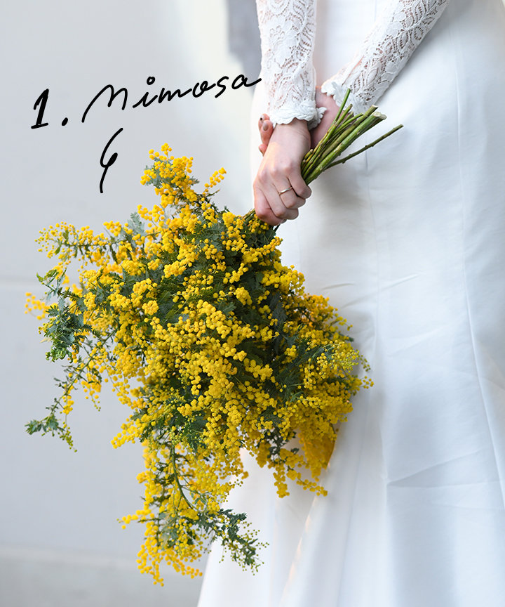 ブーケ Mimoza Felice ミモザ フェリーチェ 販売 - シエル ciel ウェディンググッズとデザイン文具の販売