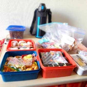 6月のお弁当✻動物園遠足弁当❃ N ❦日記❃息子の育児記録