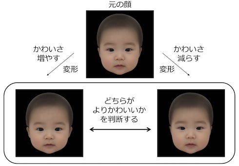 赤ちゃんこそ、顔のつくりがすべて下田美咲