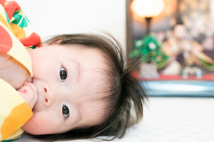 ひなまつり撮影会開催報告 - Kaimana カイマナ フォトスタジオ