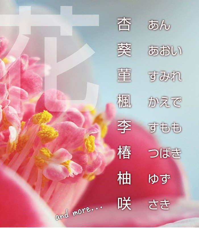 友達の子の名前の漢字が一文字かぶる名付け、やめた方が?妊娠・出産・育児発言小町