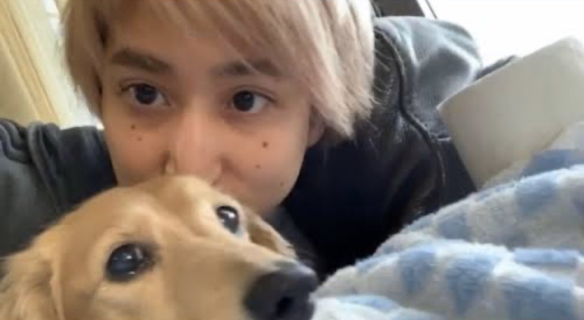 Snow Man渡辺翔太、保護犬の境遇にショック 相葉雅紀のトリミングに参加マイナビニュース