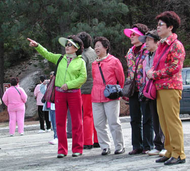 なんで韓国のおばちゃんはみんなパンチパーマなの