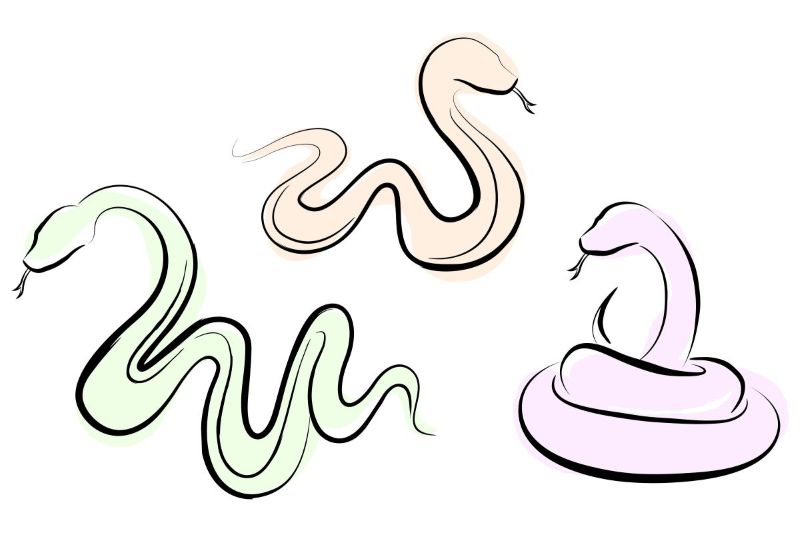 開運するもしないもあなた次第！ 2025年の本命星テーマカラー別 待ち受けイラスト スマホ用えやひろみ神戸イラストレーターラウニカアチェ