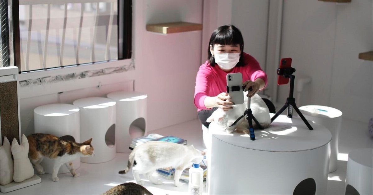 ひかる 🎀 山田さんちは猫まみれINFJ on X: 