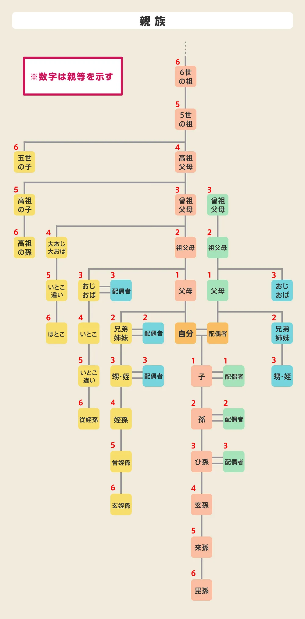 親等とは？誰でもわかる親等の簡単な数え方と一目瞭然の親等一覧図