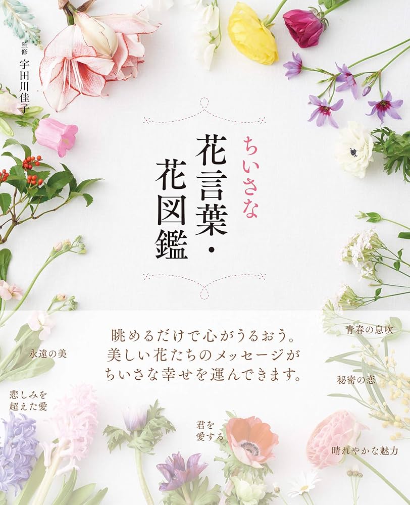 家族愛」の花言葉結婚式や母の日、父の日に贈りたい素敵なお花20選観葉植物・お花の通販 AND PLANTSアンドプランツ