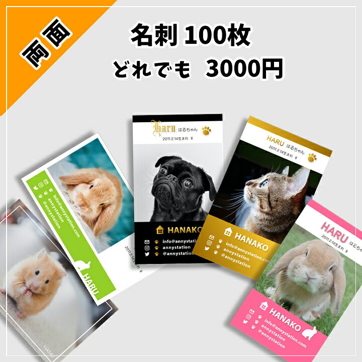 ペット名刺の通販印刷テンプレ多数 10枚298円~最短即日出荷