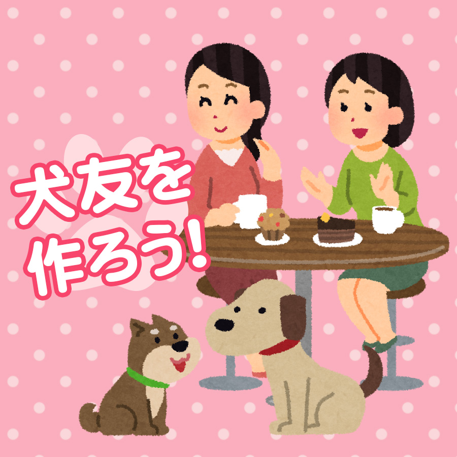 犬の友達の写真素材写真素材なら「写真AC」無料 フリー ダウンロードOK