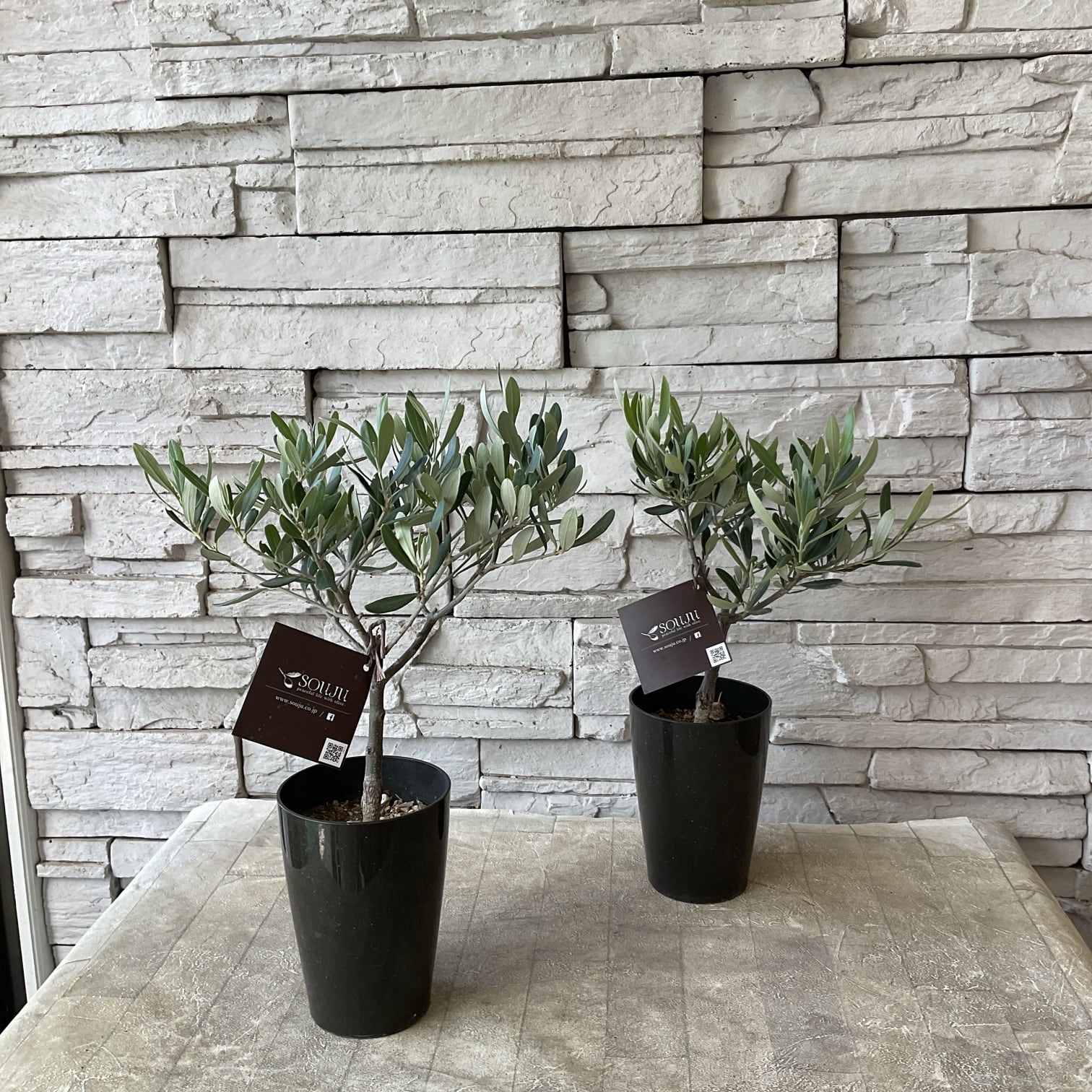 両親贈呈品結婚式でプレゼントする記念品。素敵なアイディアページ 1023ARCH DAYS