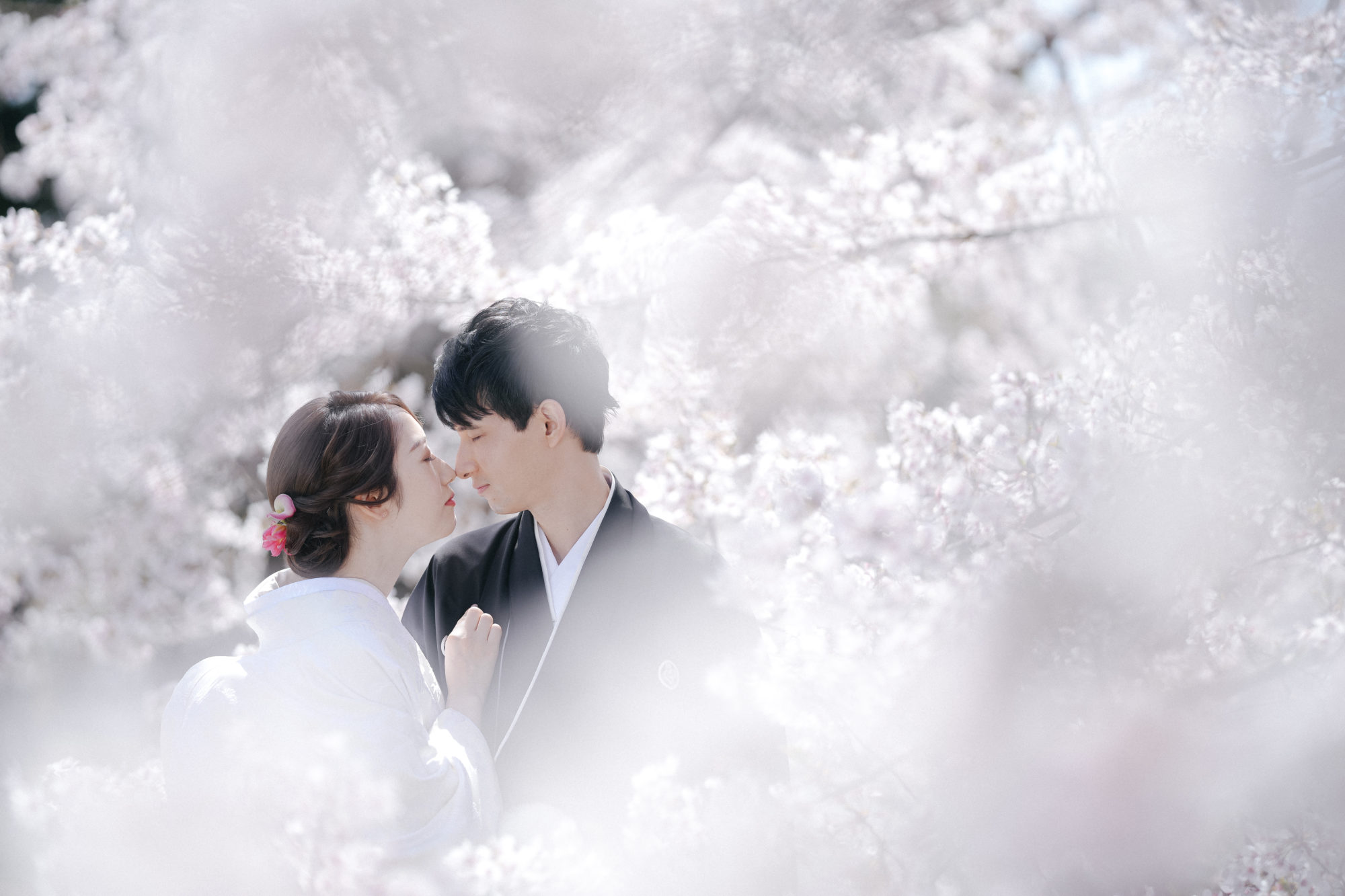 桜でのフォトウエディング撮影についてのコラムウエディング撮影なら「シラフジ」 八王子のフォトスタジオ