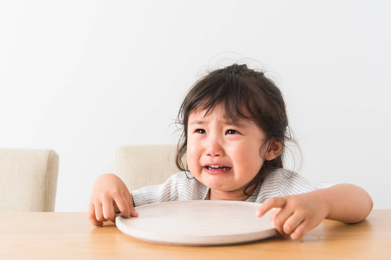 2歳の女の子へプレゼントおすすめ22選。子供の発達に合わせて選ぼう