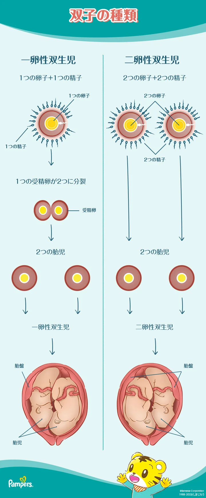 双子ベビーの 出産祝い 実際に嬉しかった&おすすめギフト15選VERY