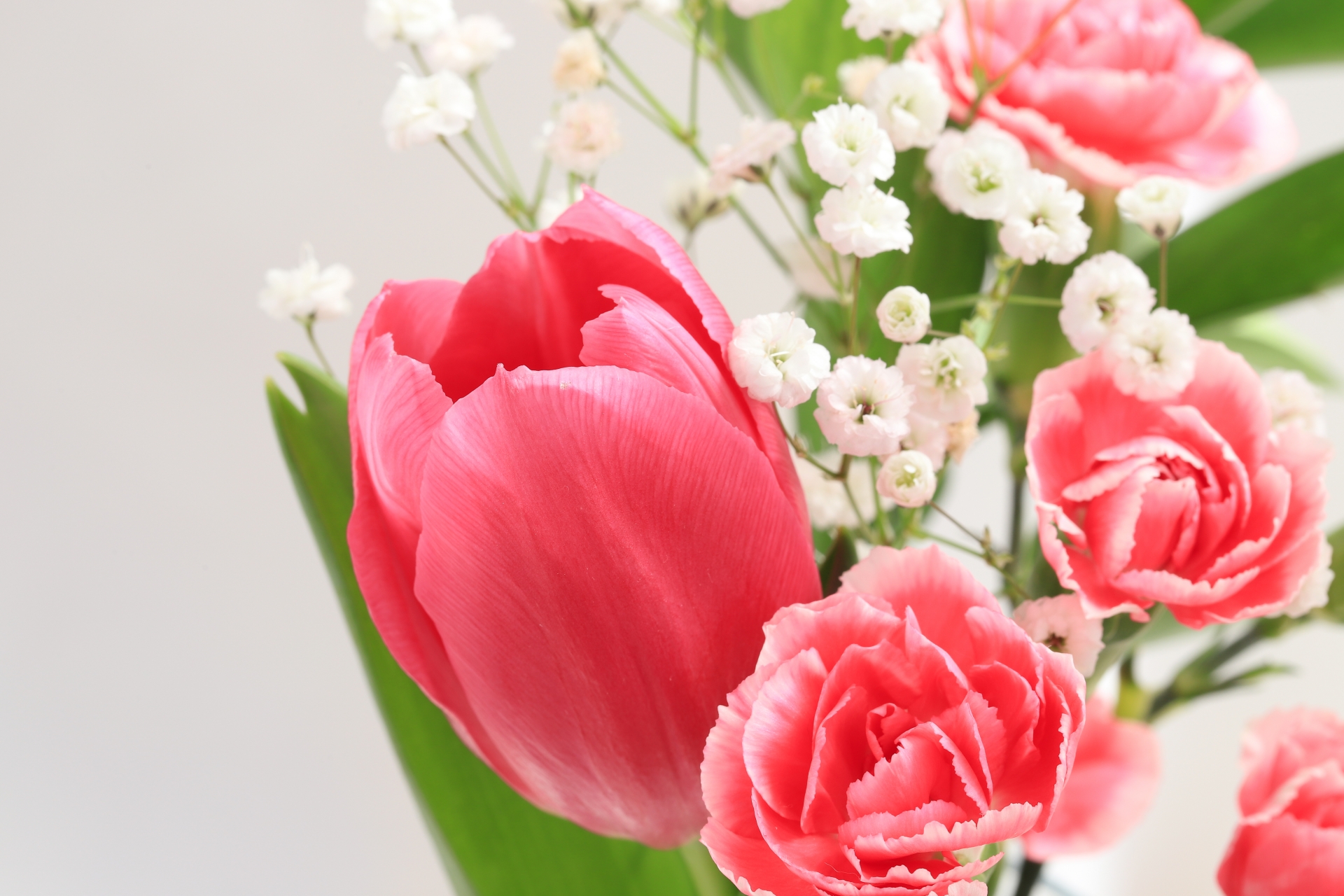 Happy Mother's Day 母の日 カーネーションの花 イラスト素材4999472- フォトライブラリ