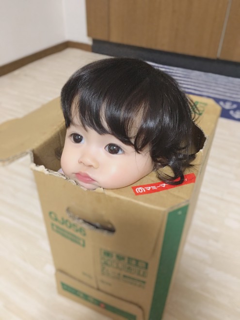 これが本当の“箱入り娘”、段ボールすっぽり姿に大人たち悶絶「かわいすぎてやばい」eltha エルザ