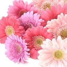 W-003 結婚披露宴でご両親に贈る花束 - 大阪府豊中市の花屋「花の部屋」