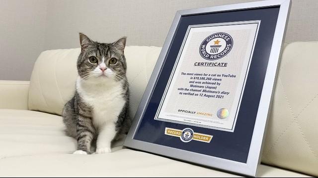 夜中に兄の愛情が爆発してしまって困ってた弟がこうなってましたw - YouTube