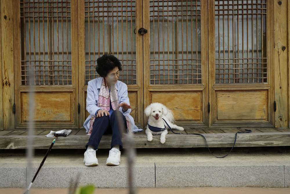 天下無敵、食堂のアジュンマについて知っておきたいこと！ソウルナビ