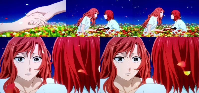 アニメ『魔法使いの嫁』第11話感想 チセとエリアスの言えないこと- 空想するタネ