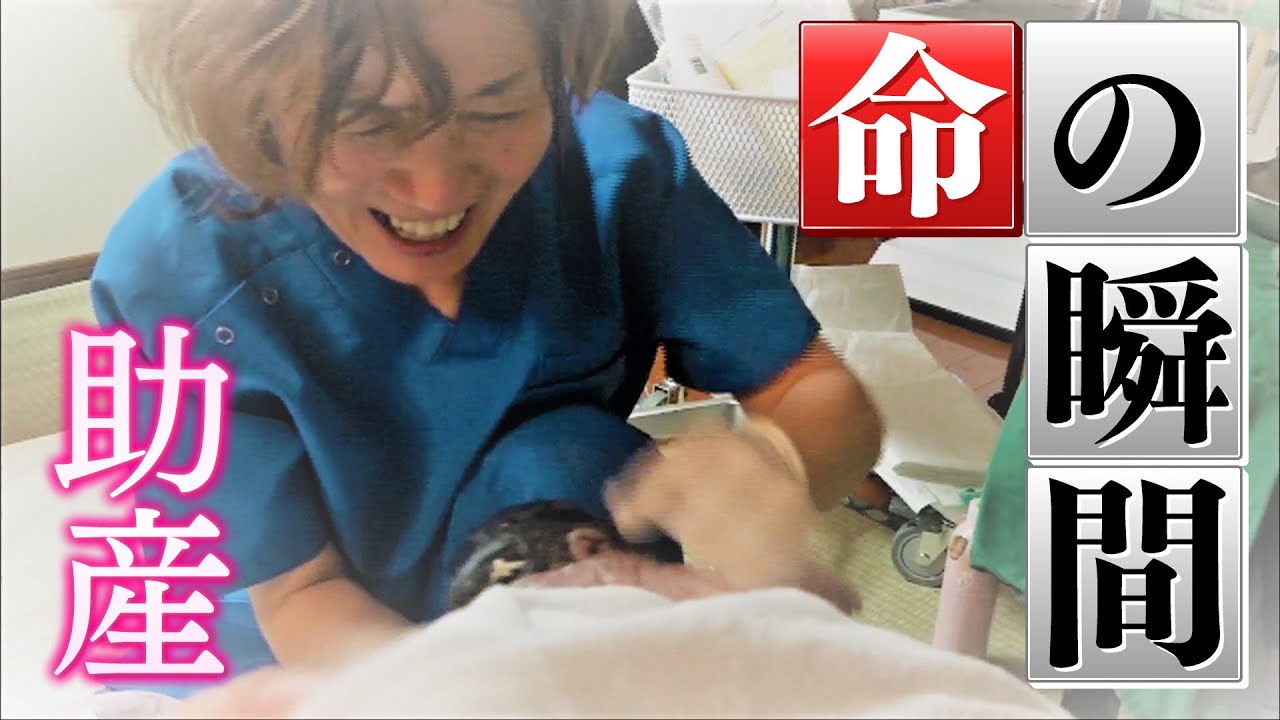 Amazon.co.jp: 赤ちゃんが生まれる: Photo Book見たい聞きたい恥ずかしくない!性の本: WILLこども知育研究所: 本