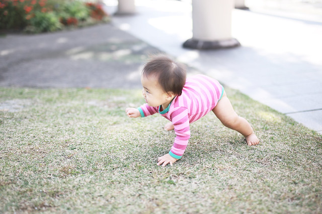 人工芝の上で赤ちゃんは遊んでも大丈夫なの？赤ちゃん侵入防止にも！ - 芝人