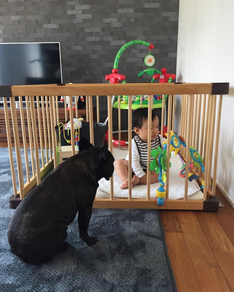 安全な赤ちゃん部屋の作り方は？ベビーベッドの置き場所や狭くても快適なリビングづくりのコツ アットホーム 住まい・不動産のお役立ち情報＆ツール