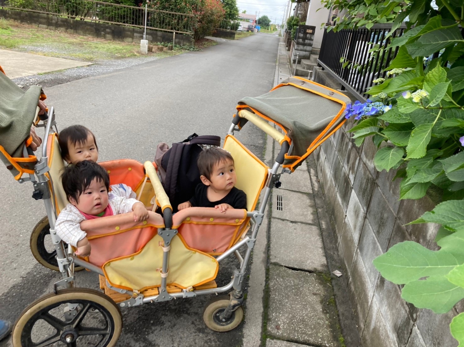 親子コーデ ハイキングに最適な服装は？ 紅葉スポットも紹介子供とお出かけ情報「いこーよ」