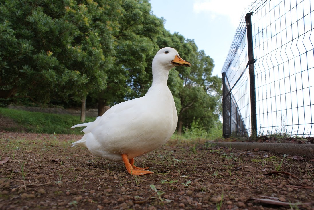 NCT_OFFICIAL_JP on X: 