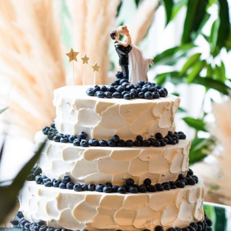 アクリルケーキトッパー Cinderella Carriage シンデレラキャリッジブラック メール便発送可能アイテムブライダル・ウェディング アクセサリー通販 ラブティアラ