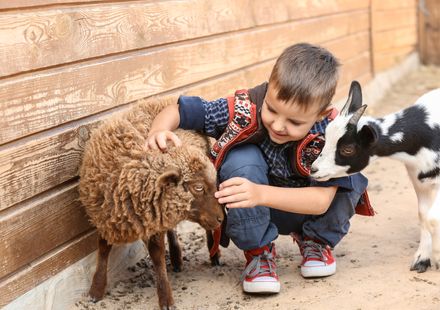 ロサンゼルスのおすすめの家族旅行向けホテル10選 2025年