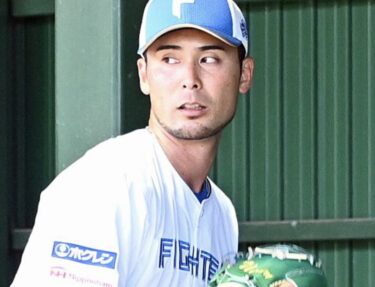 北海道日本ハムファイターズ 玉井 大翔 選手情報 プロ野球スポーツ情報はdメニュースポーツ