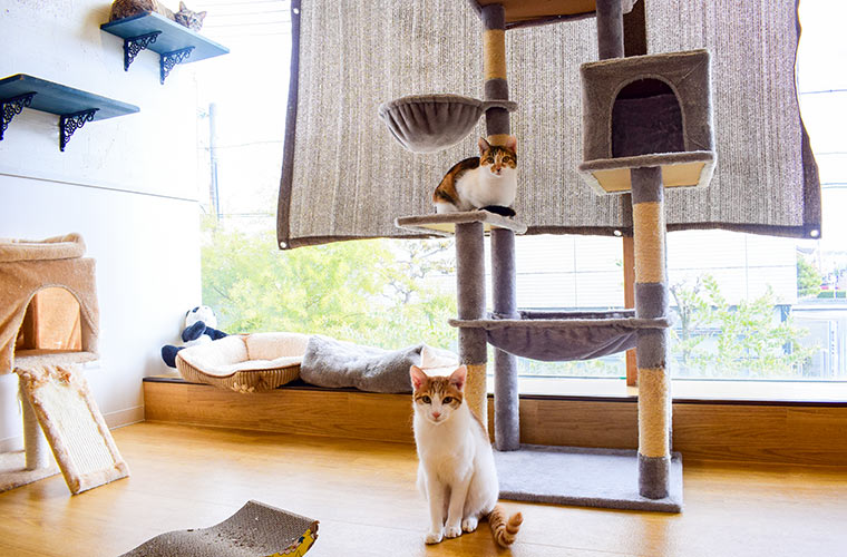 𝐲𝐮𝐢好きな場所・好きなこと できれば一緒に好きな子と〜♩🙂‍↕️⛱️✨Instagram