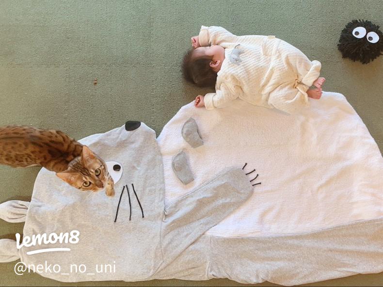 1 25開催 節分・バレンタインアート撮影会長久手2020年1月25日 愛知県- こくちーずプロ