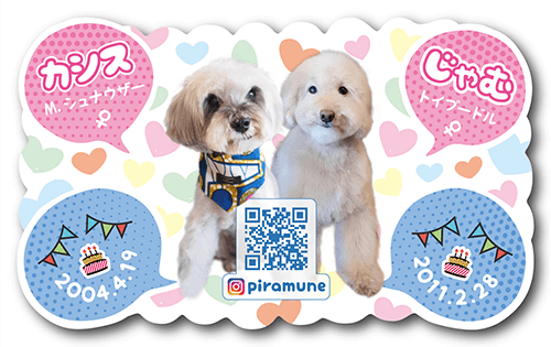 ペットも名刺を持つ時代!家族同然のかわいいペットの名刺を作りませんか? ペット名刺:pec-0017pデザイン名刺.net