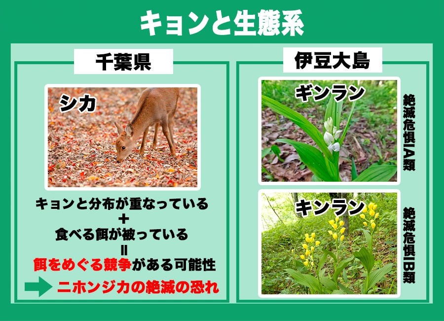 深キョン、幼少期の写真公開！当時から「可愛すぎる」と大反響シネマトゥデイ