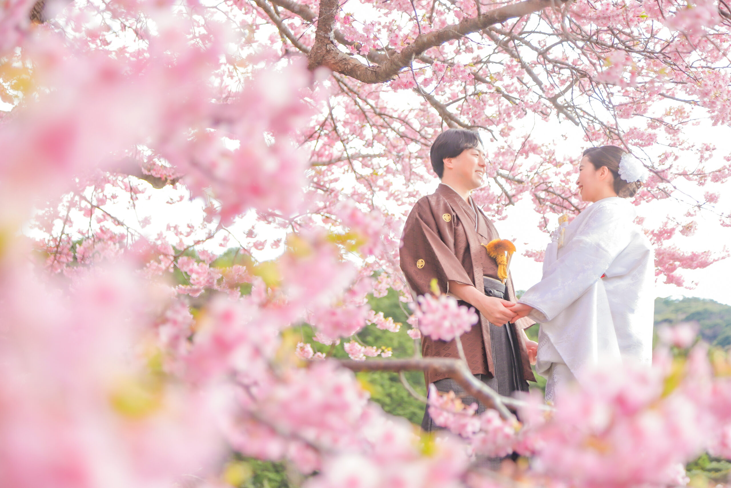 桜ロケーションフォト大阪店結婚写真・フォトウェディング専門店フォトメゾンエクラン ecrin