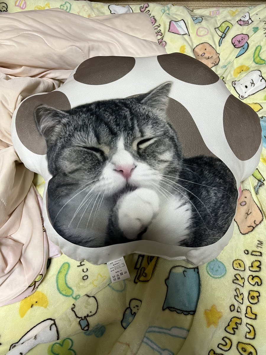 しまむら もちまる日記 肌掛け布団の通販 by いちごラクマ