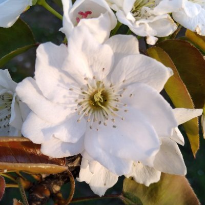 2024年のテレビ日本- Wikipedia