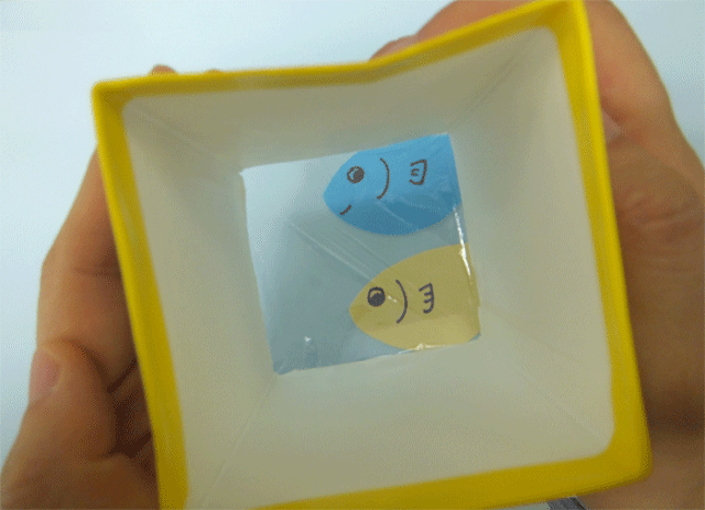 牛乳パックで作る水中メガネ♪何がみえるかな