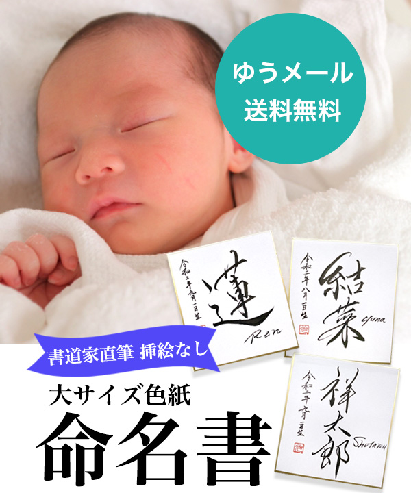 命名紙 用紙のみ デザイン命名紙 雪 A4サイズ 命名書 大赤ちゃん 命名書 命名紙 かわいい おしゃれ 代筆をお考えの方に人気 用紙A4サイズ a4 お七夜 命名式 お祝い ギフト 内祝い プレゼント 銀塩プリント 名入れ 男の子 女の子 新生児 オーダー 出産 日本製