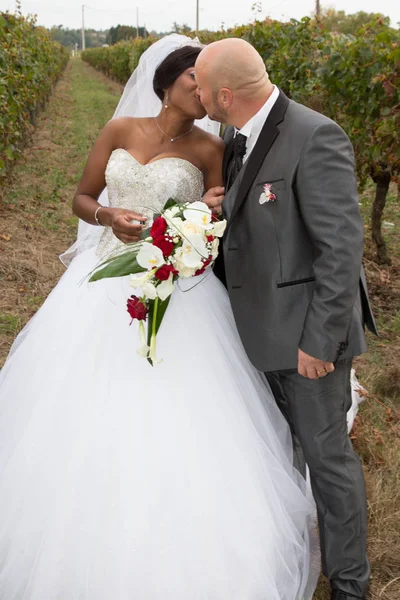 スコットランド人とガーナ人の夫婦写真、異人種結婚「揺るがない」 - BBCニュース