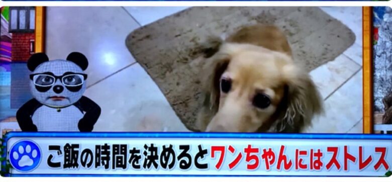 東京都知事選挙「君ならどうする」、動画や模擬投票で子どもたちの「きっかけ」期待 : 読売新聞