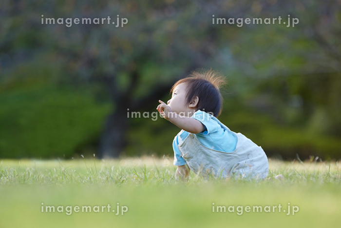 22歳夫婦の夜ごはん作り♥ともえとみっちゃん年の差27歳夫婦元アイドルと元ヲタク幸巴夫婦の日常夜ご飯レシピ