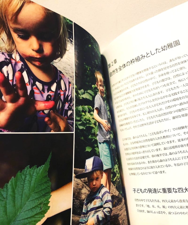 北欧発祥の野外幼児教育。大自然の中で過ごす 森のこども園 てくてく ってどんなところ？にいがたのつかいかた for Family