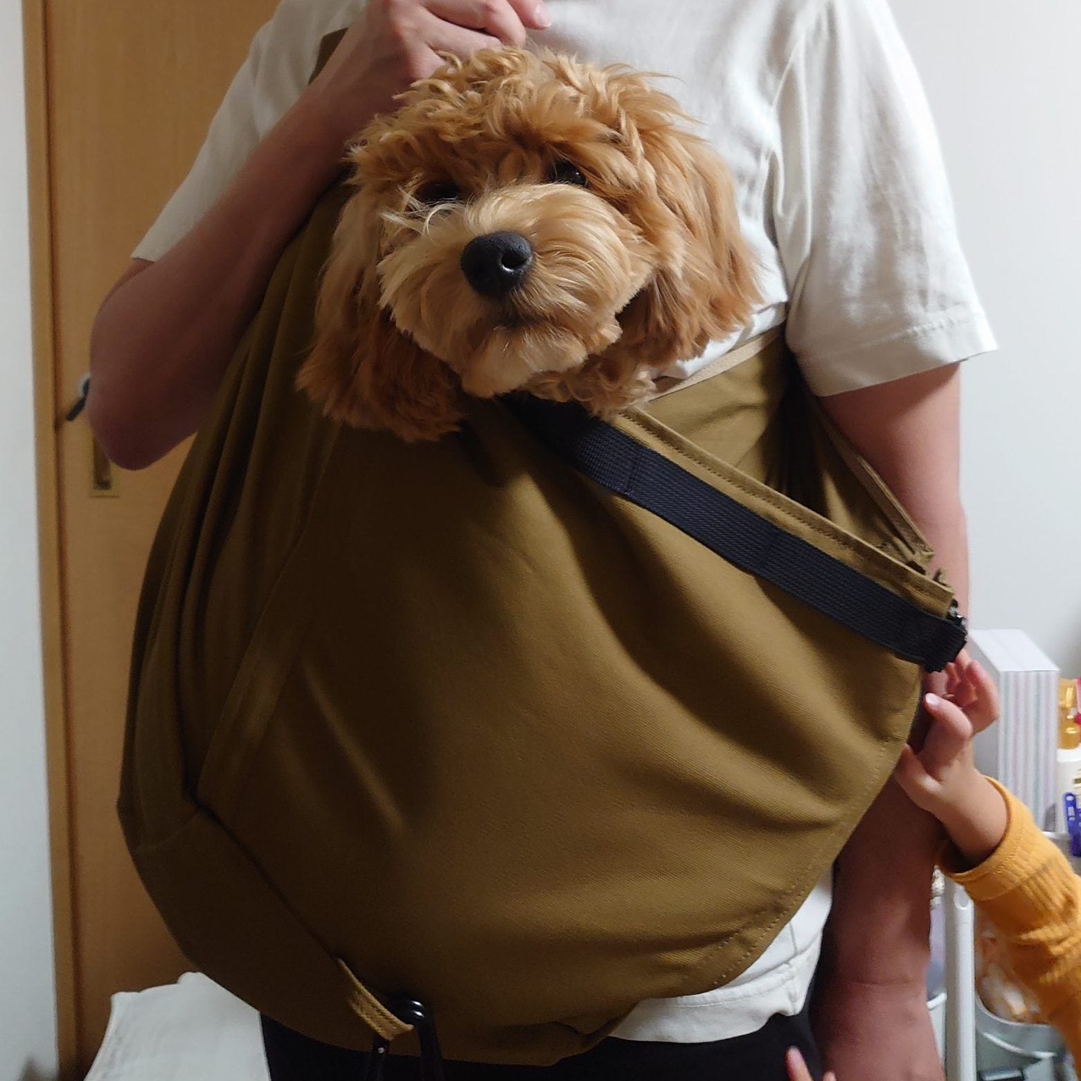 写真5ページ目 “肉体派女優”は両親から「格差婚」に猛反対され 確執を乗り越えた松坂慶子が「90まで女優をしたい」と語る理由文春オンライン