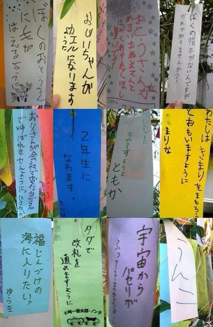 子供たちの七夕の願い事を飾っています🎋宮前平トレイン耳鼻咽喉科院長ブログ