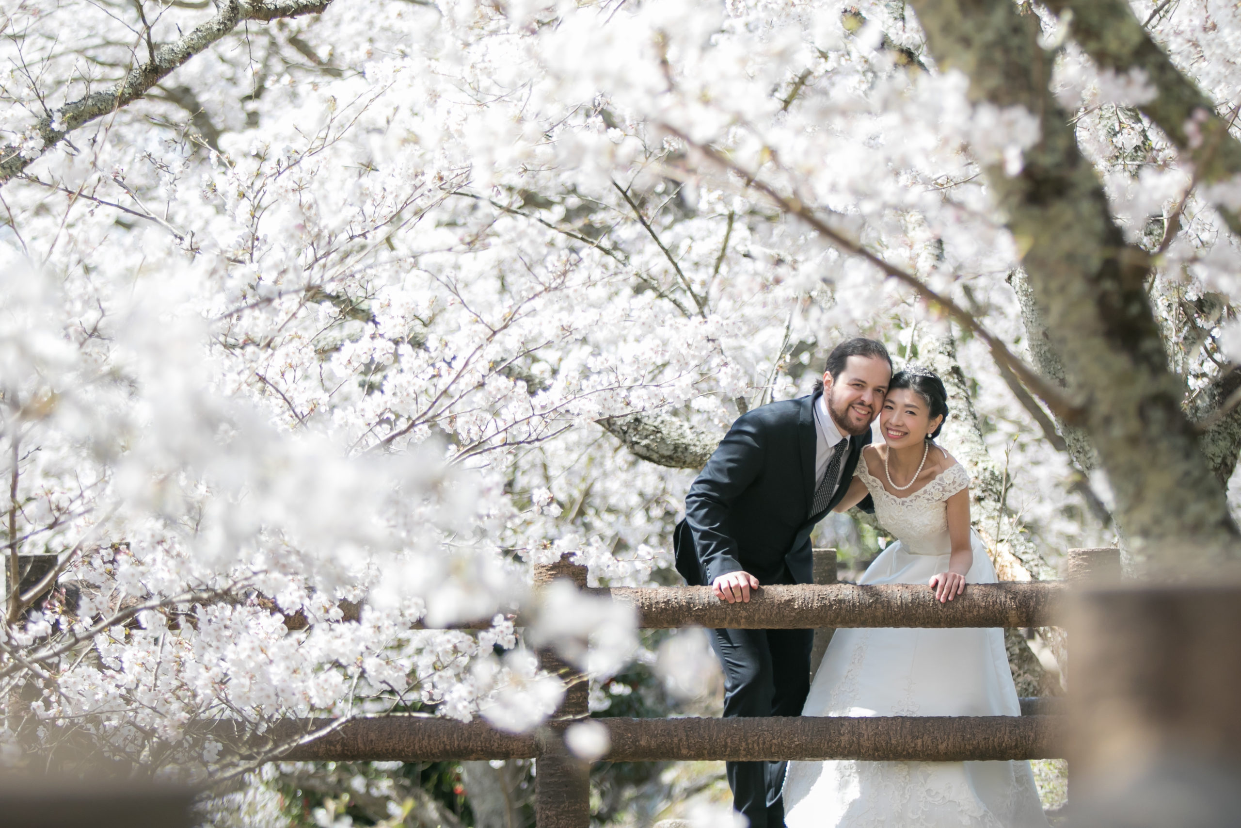 新作ウェディングドレスのご紹介埼玉のフォトスタジオ 七五三・成人式・結婚写真は林写真館