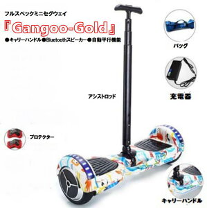 こども電動乗用ミニバイク「BMW S1000RRモデル」IKS-MB-RA-BMRR