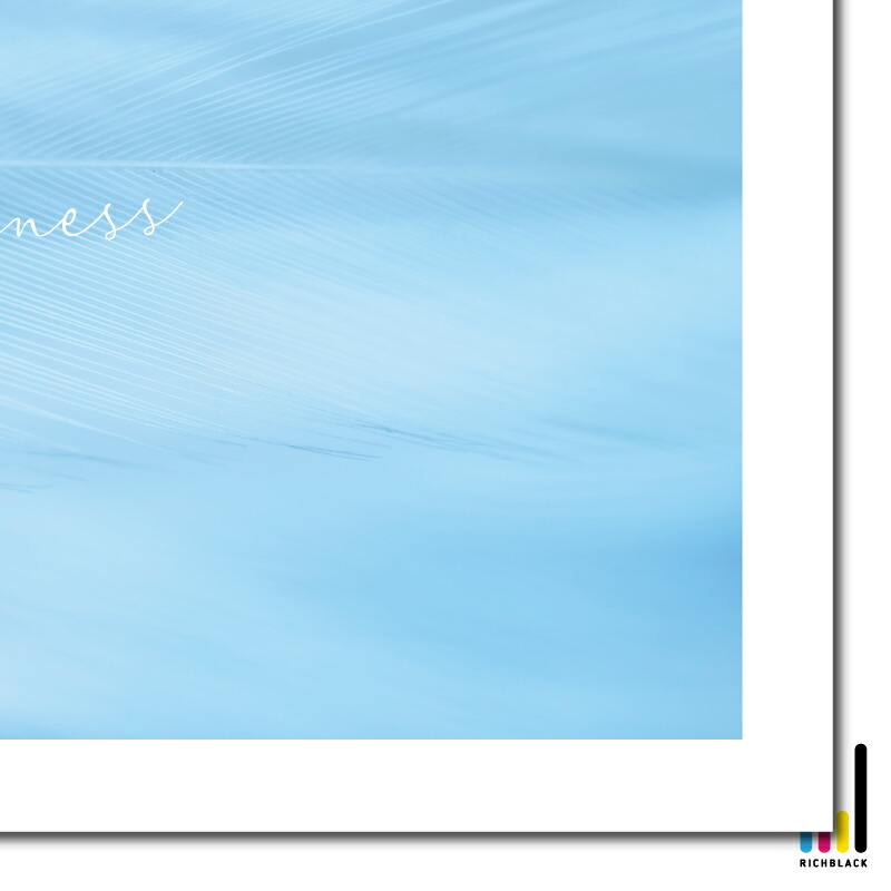 英単語 鳥に関する基本単語日本語教師の英語講座